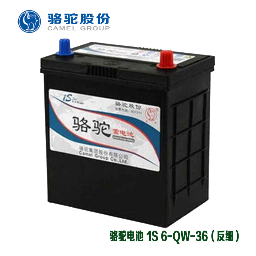 駱駝電池 6-QW-36L（1S 38B20L）